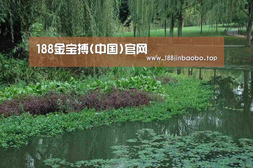 案例展示一(图1)