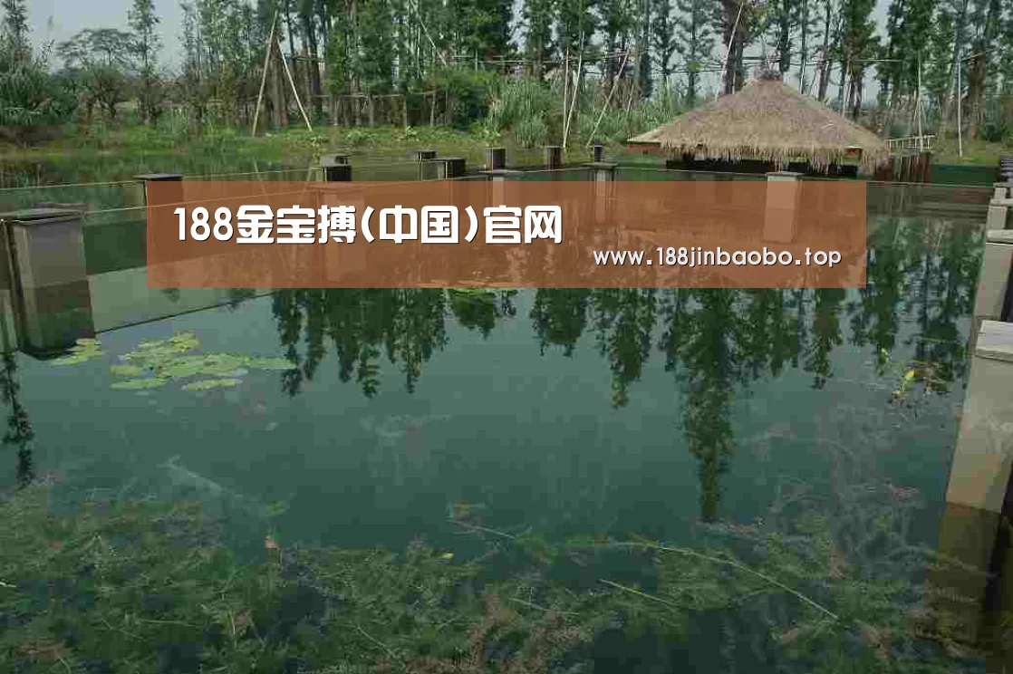 案例展示二(图1)
