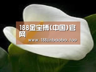 产品名称七