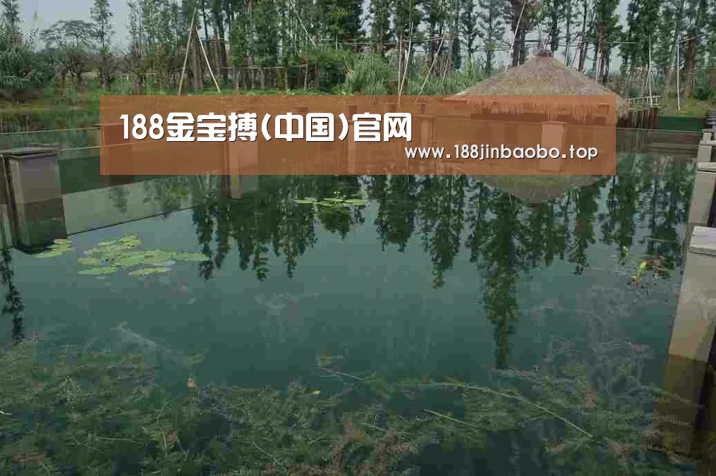 案例展示二