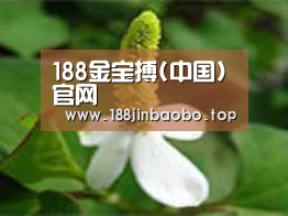产品名称三
