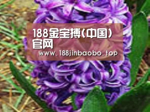 产品名称八