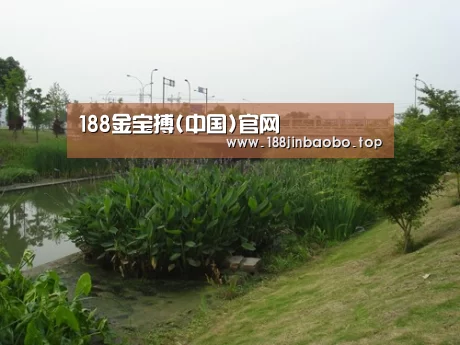 案例展示四