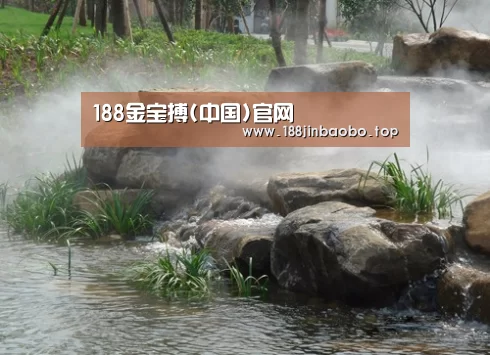 案例展示五