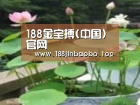 产品名称一