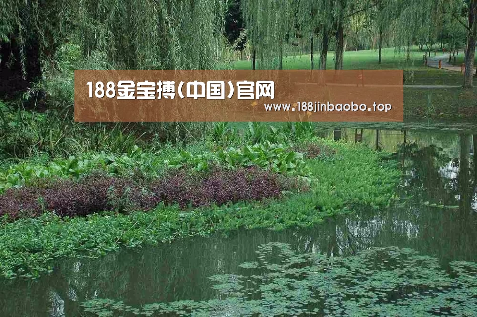 案例展示一