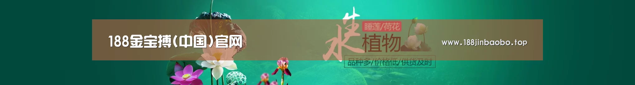 鲜花水草花卉网站模板