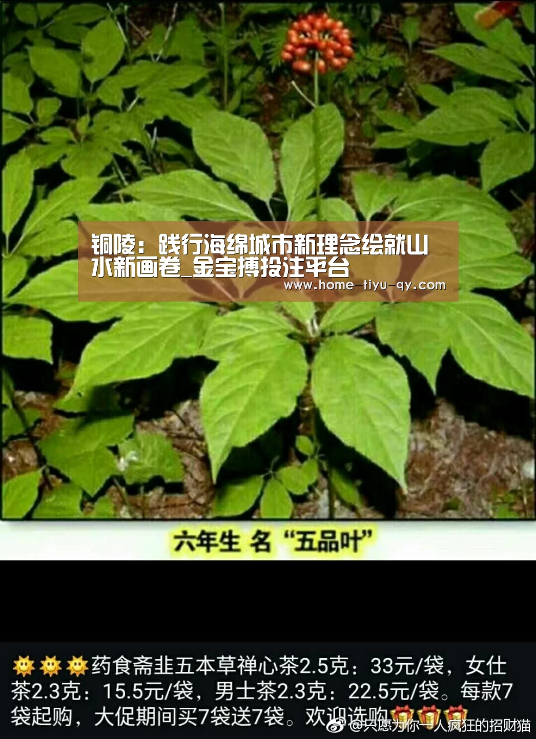 铜陵:践行海绵城市新理念绘就山水新画卷_金宝搏投注平台(图2) 188金宝搏中国版