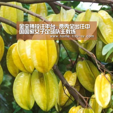 188金宝搏官网登录
